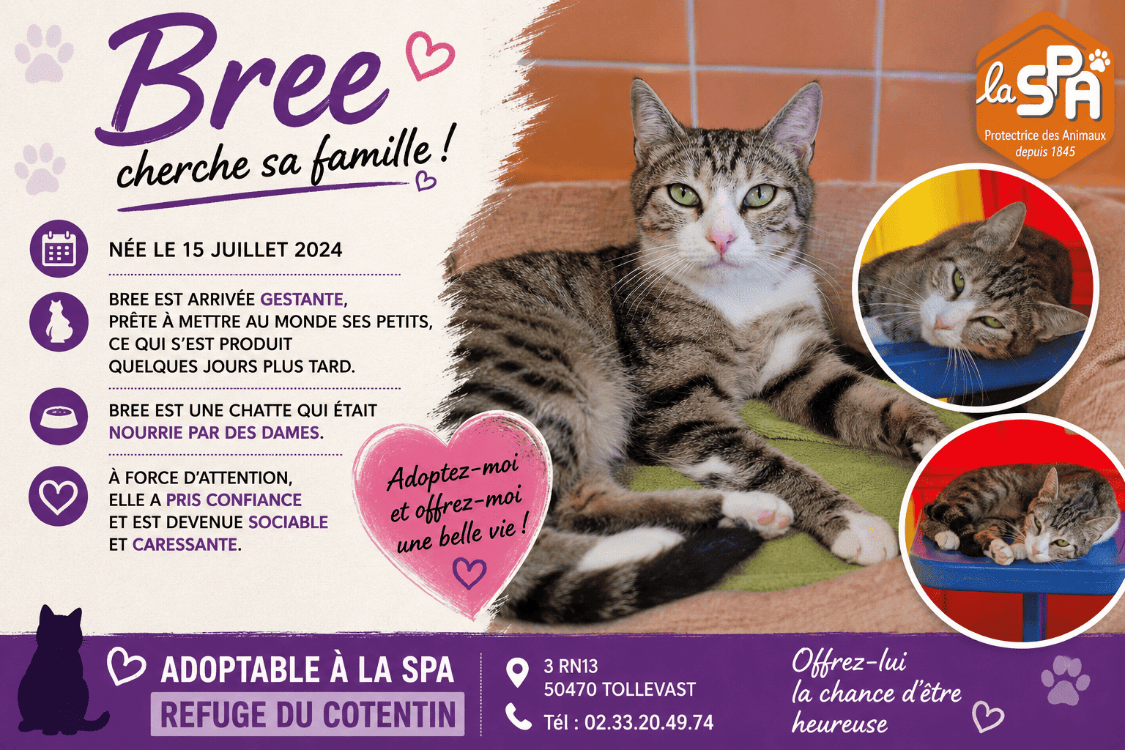 BREE (Réservée)