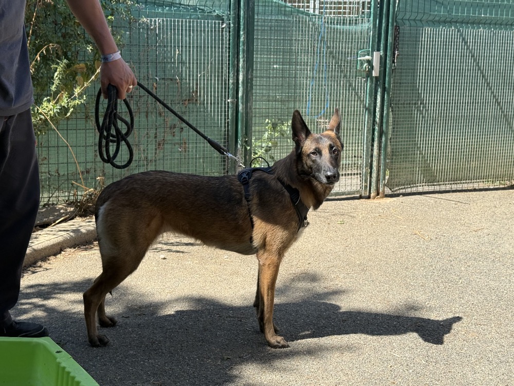 ORKA