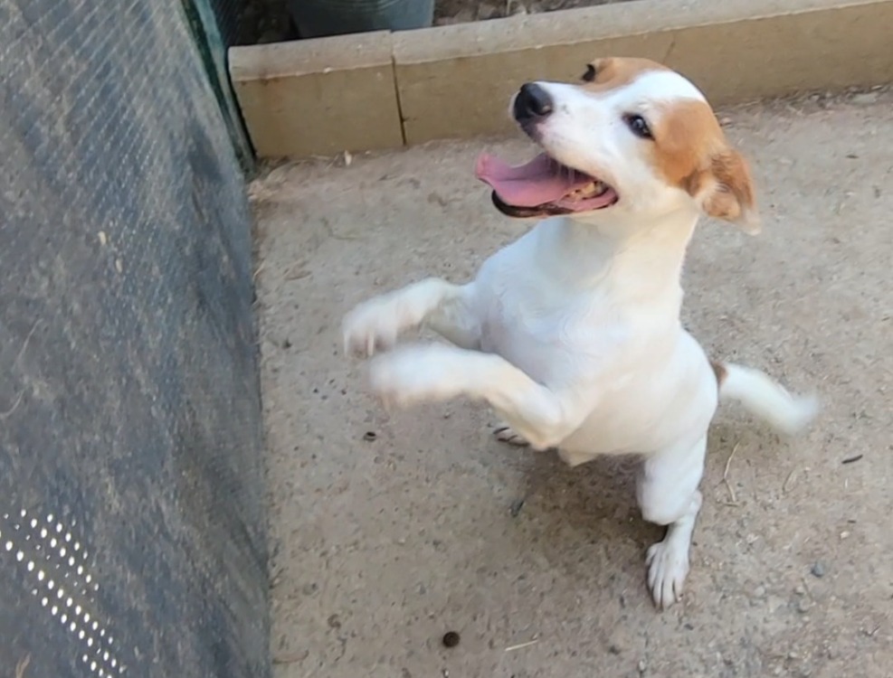 ROCKY(réservé)