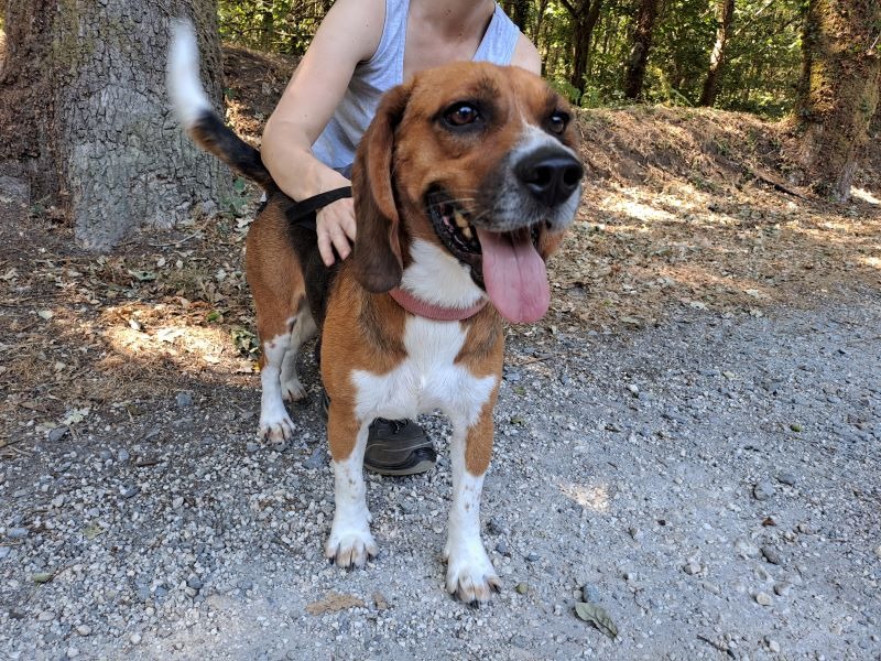 tyson
