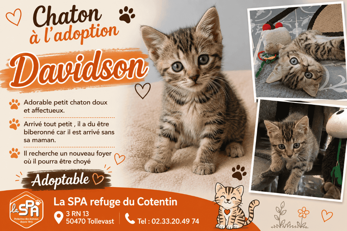 Davidson