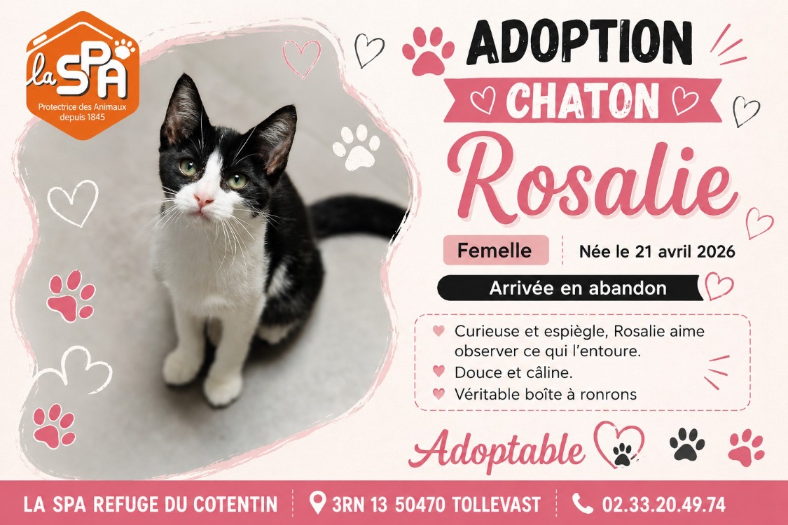 ROSALIE (Réservée)