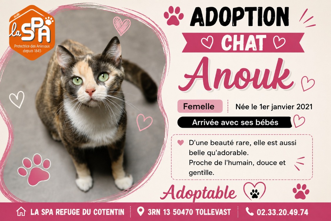 ANOUK (Réservée)