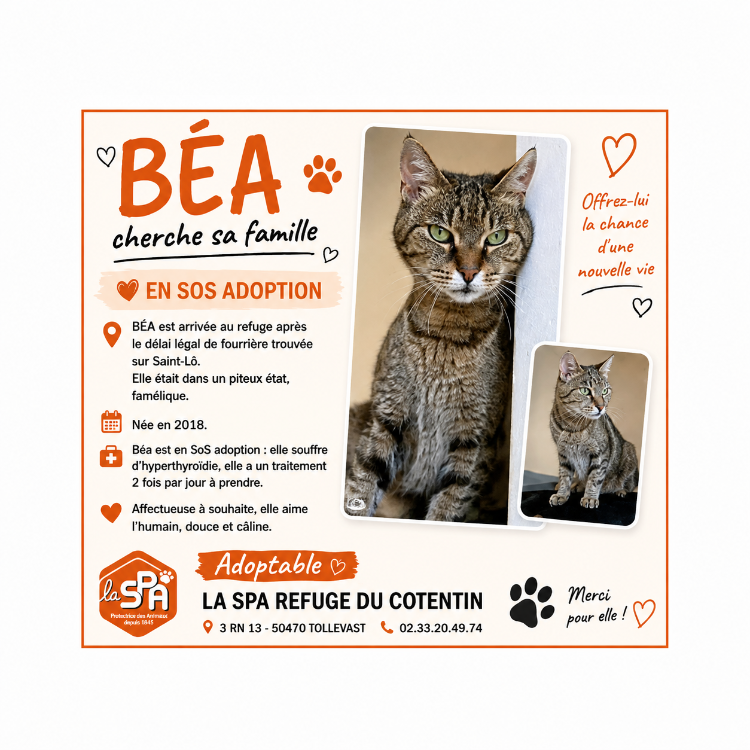 BEA
