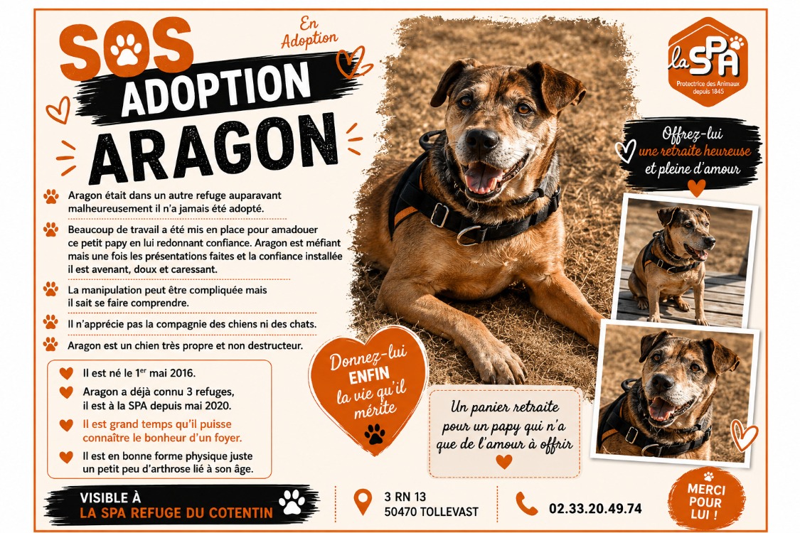 ARAGON