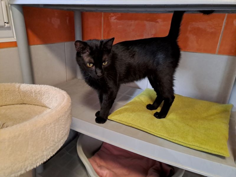 binx