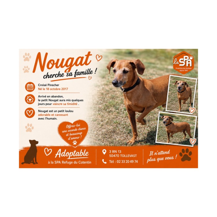 NOUGAT  (réservé)
