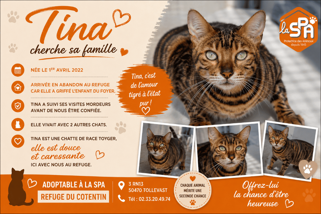 TINA