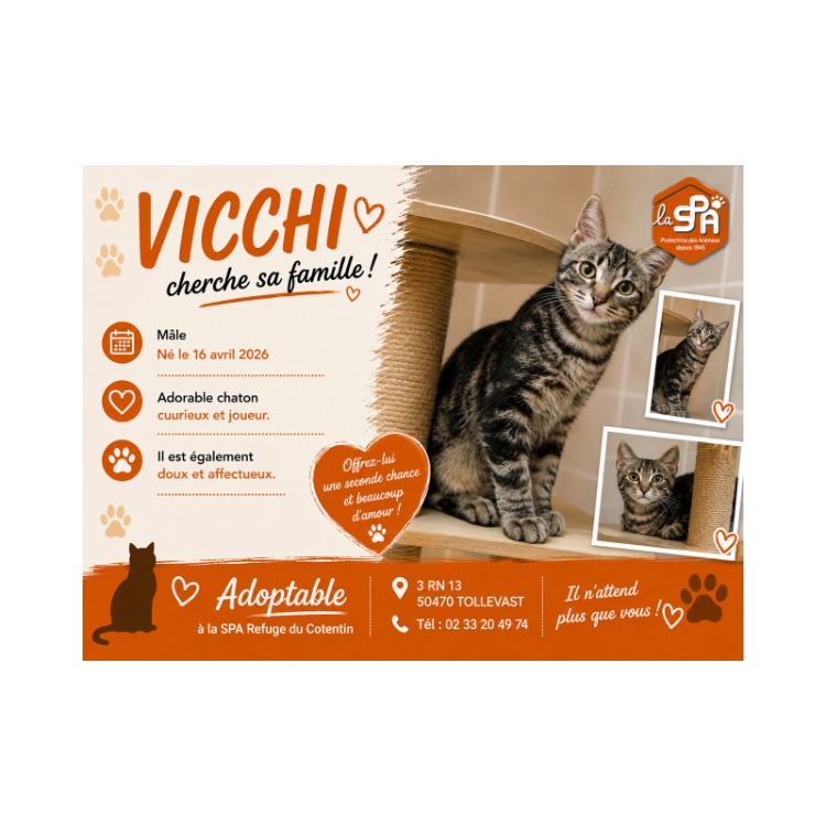 VICCHI (Réservé)