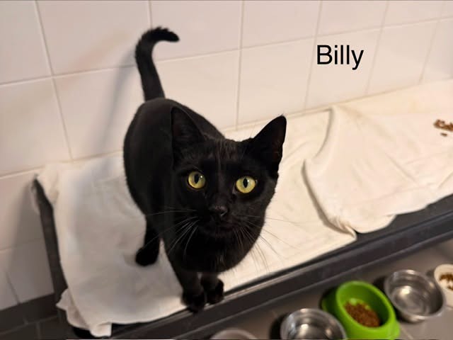 Billy