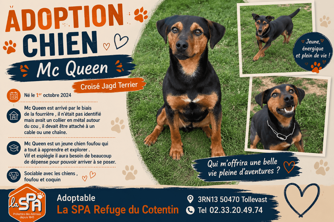 MC QUEEN (Réservé)