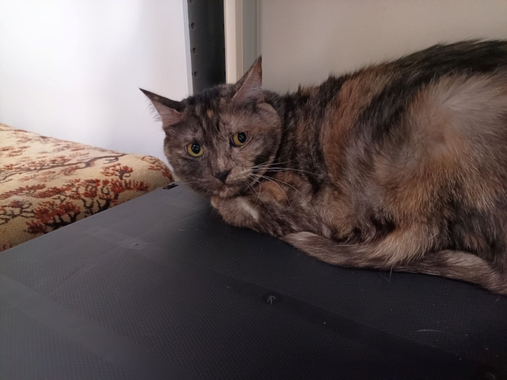 CHLOE