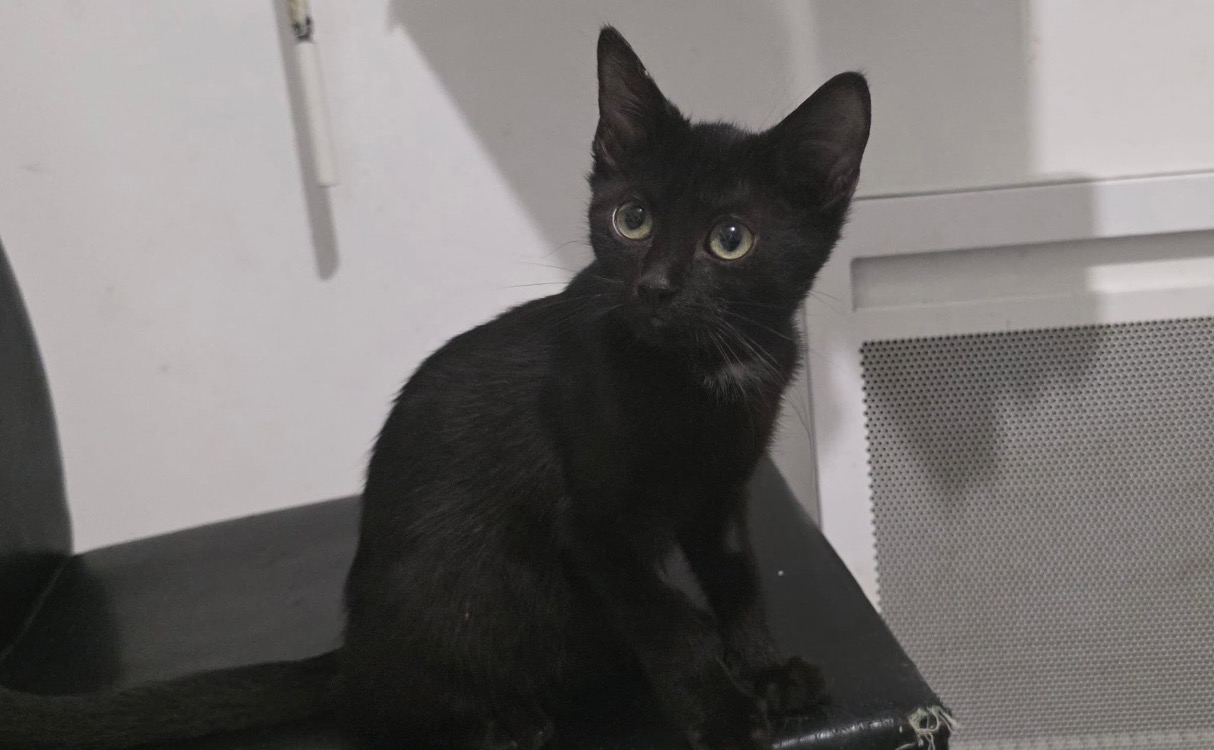 BERLIOZ