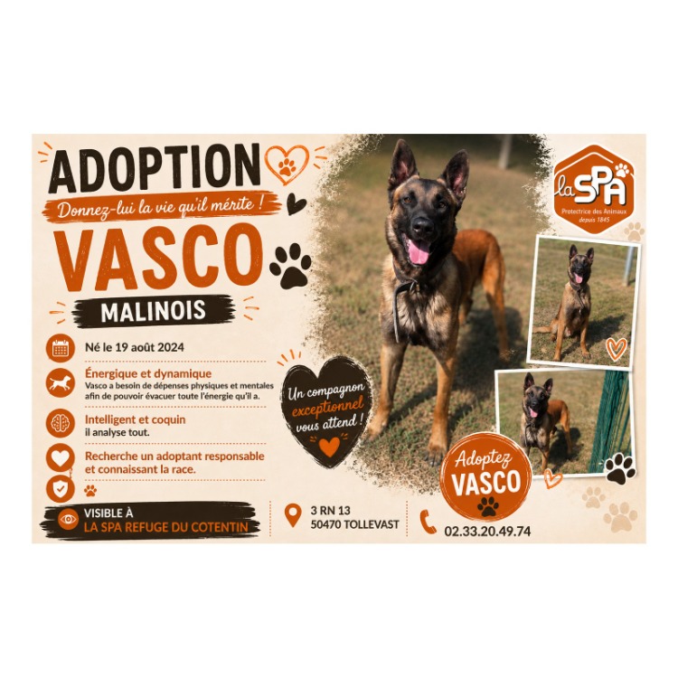 VASCO