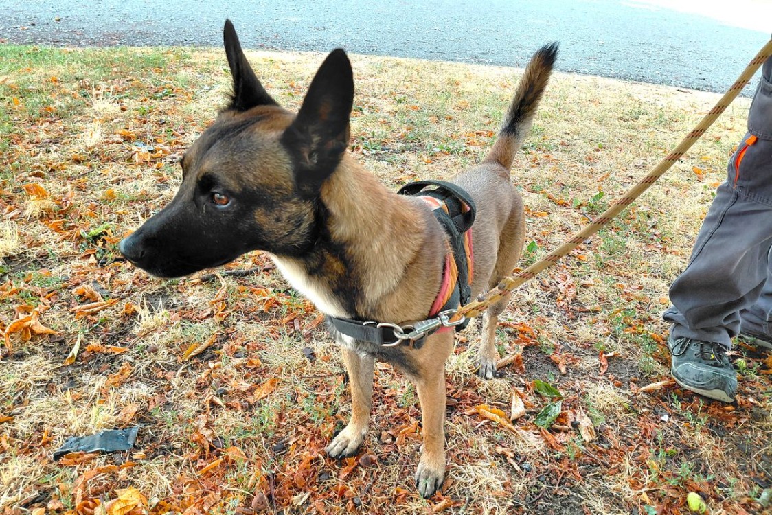 DJANGO