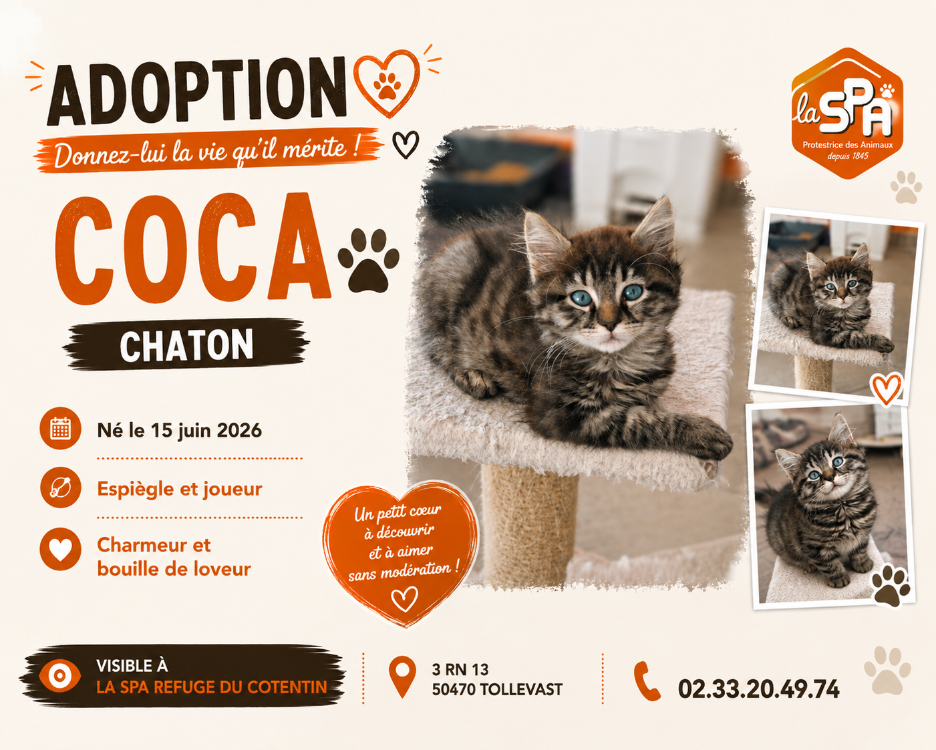 COCA (Réservé)