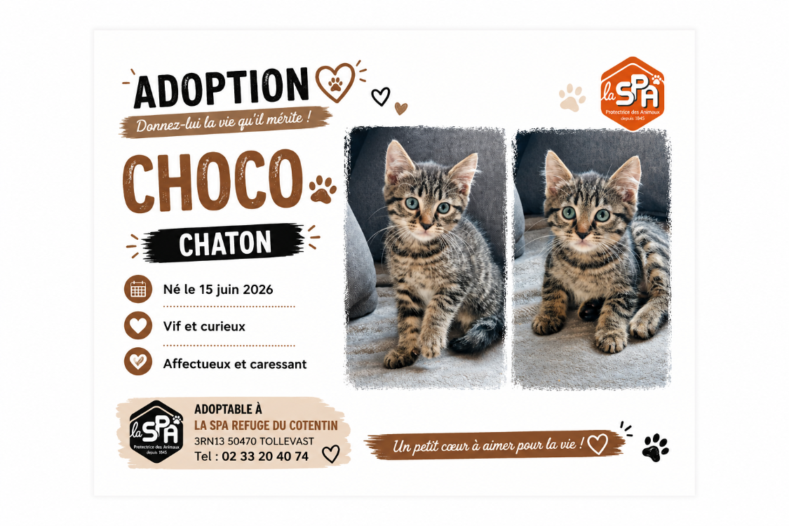 CHOCO ( Réservé)