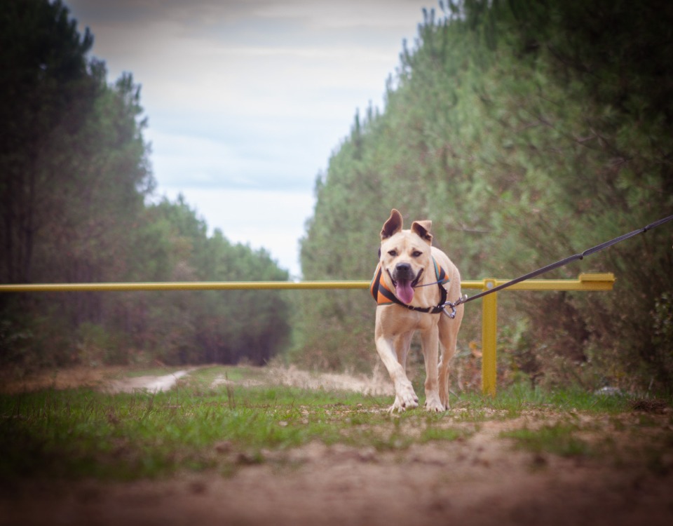 JUMPY