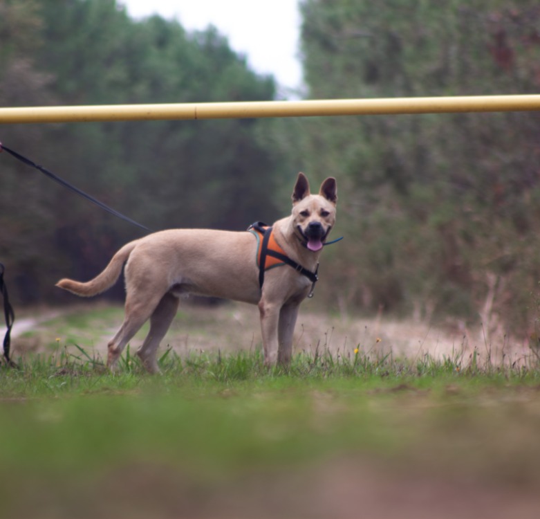 JUMPY