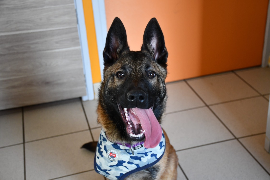 Diego