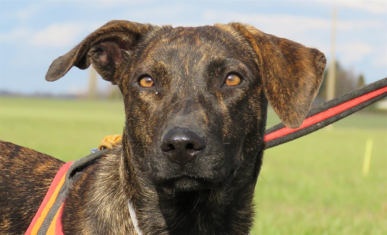 SUNNY (reservée)