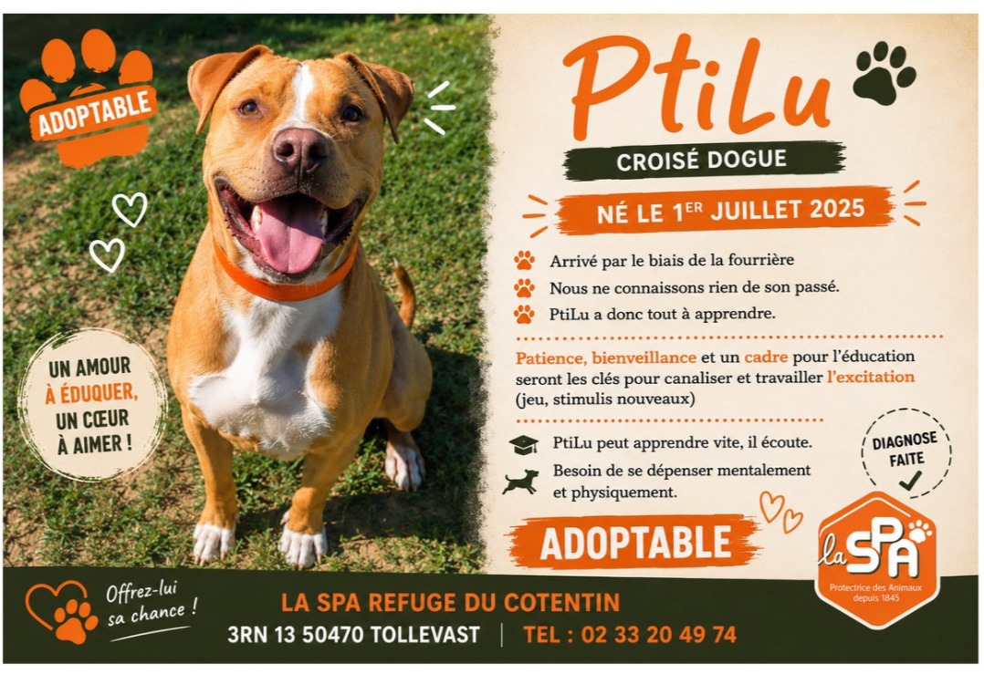 PTILU
