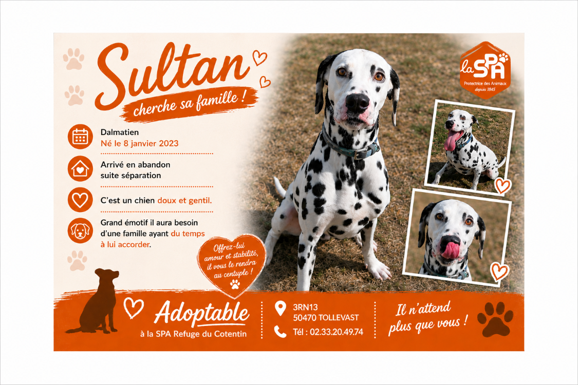 SULTAN