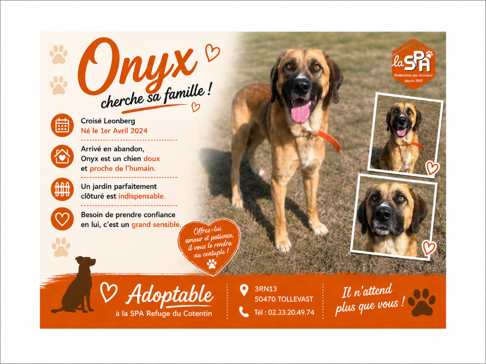 ONYX