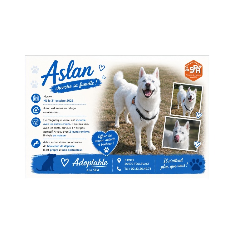 ASLAN réservé