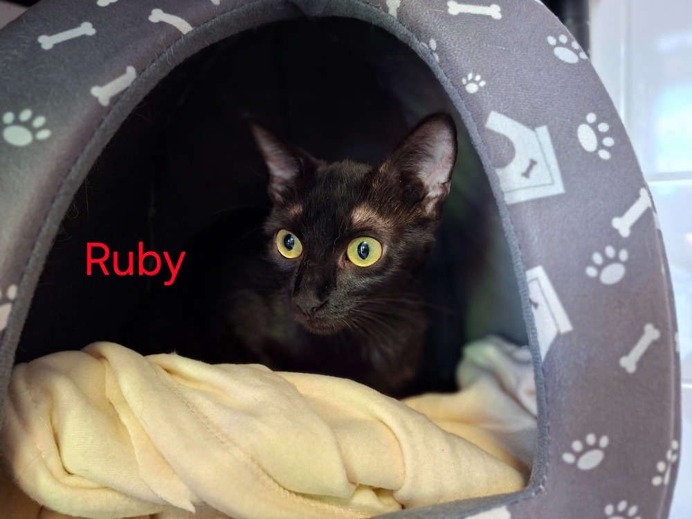 RUBY