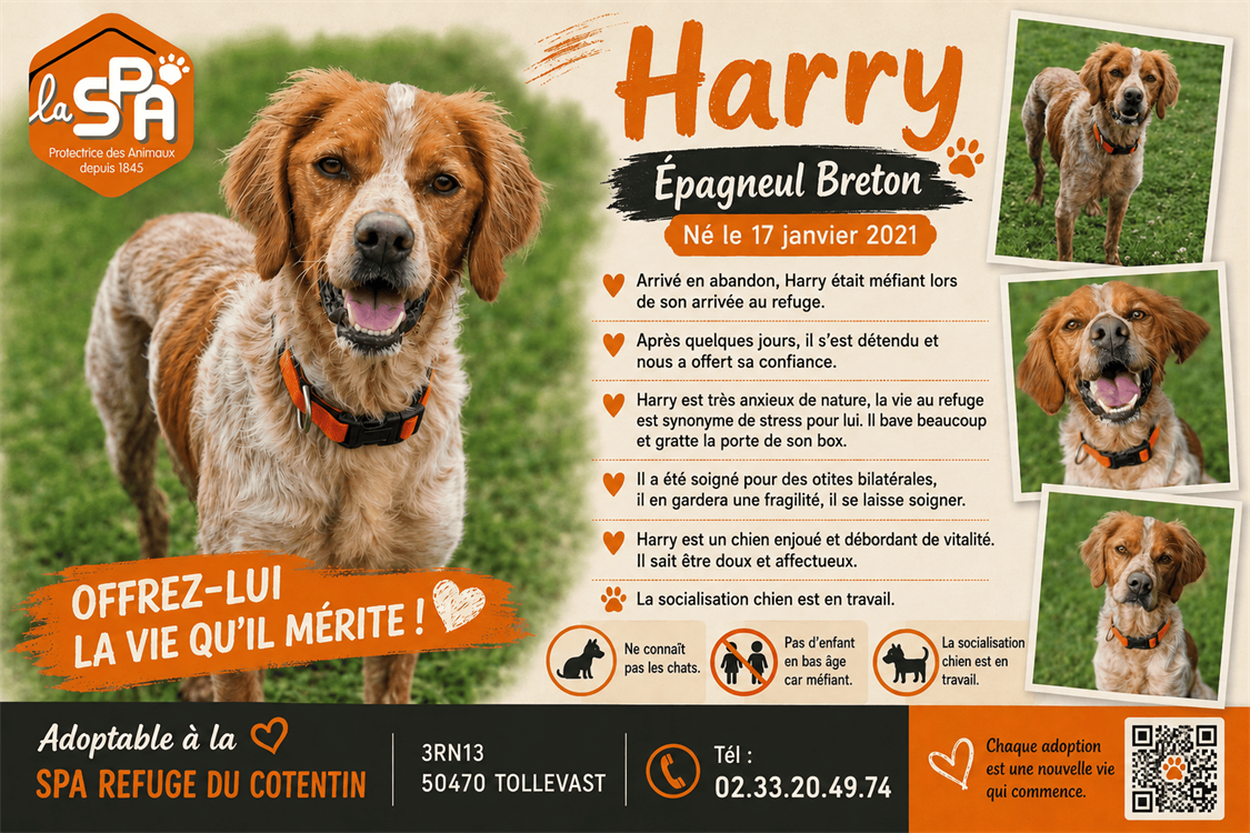 HARRY