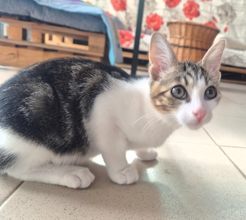 KIRI (réservé)
