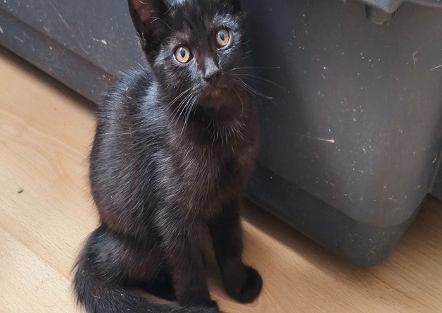 SALEM