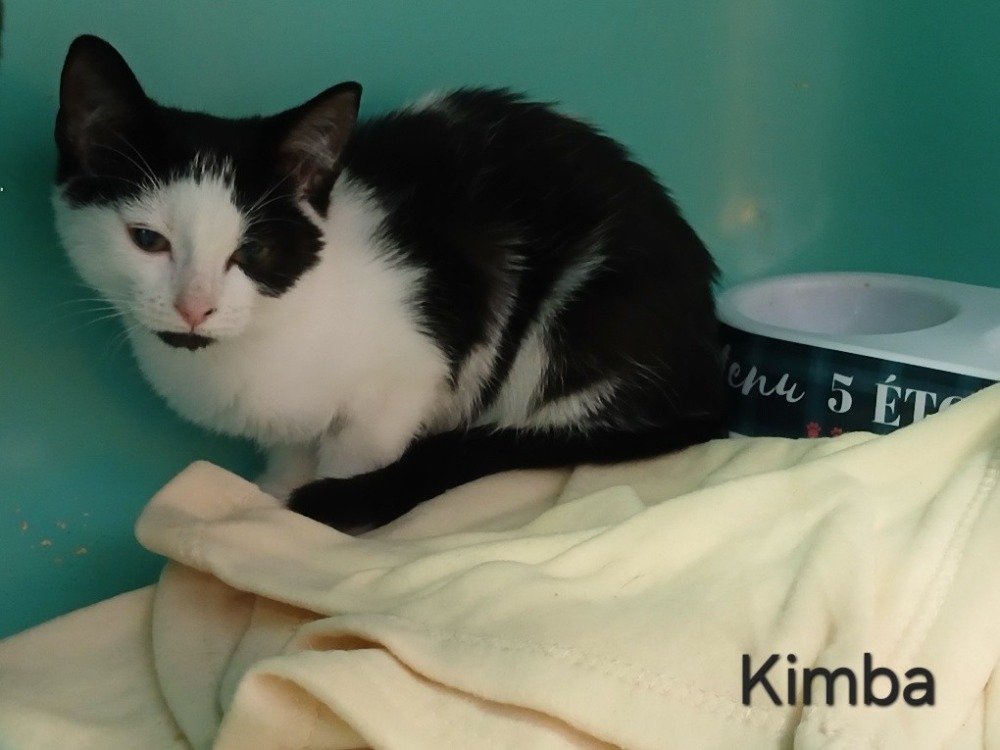 KIMBA