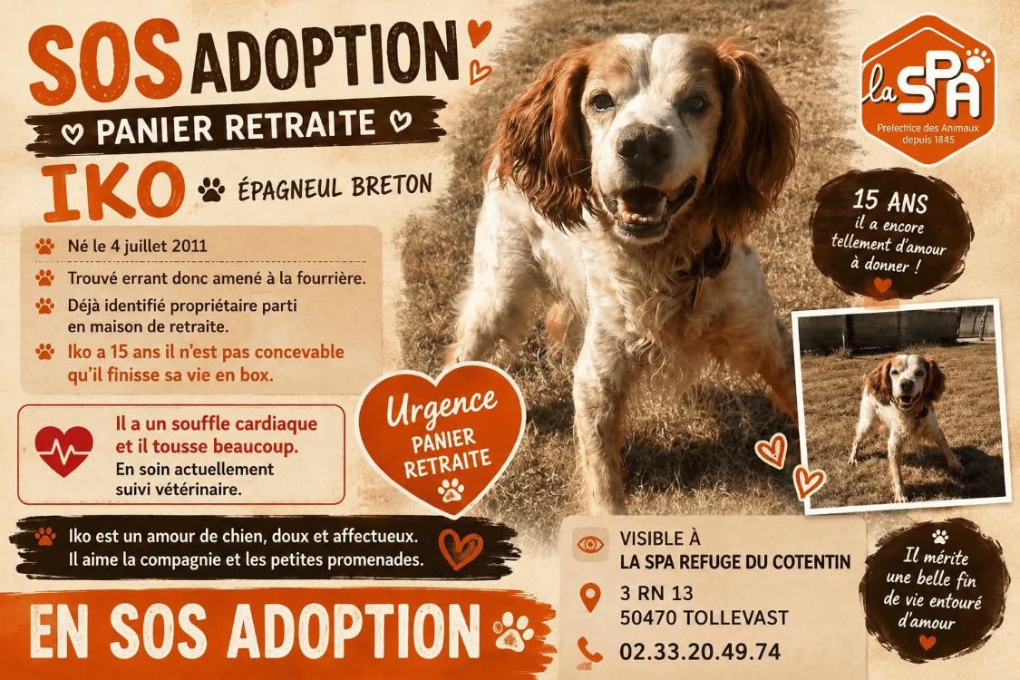 IKO (Réservé)