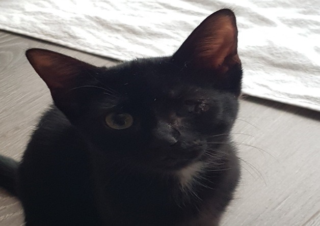MINETTE
