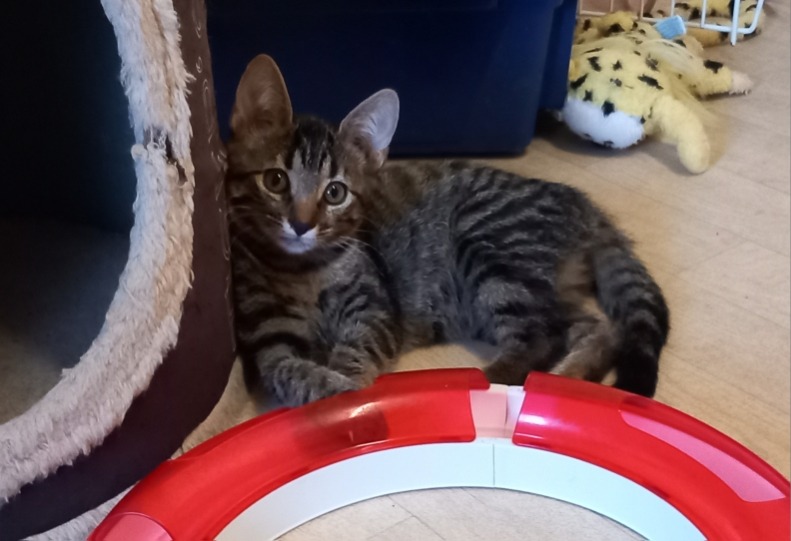 BILLY