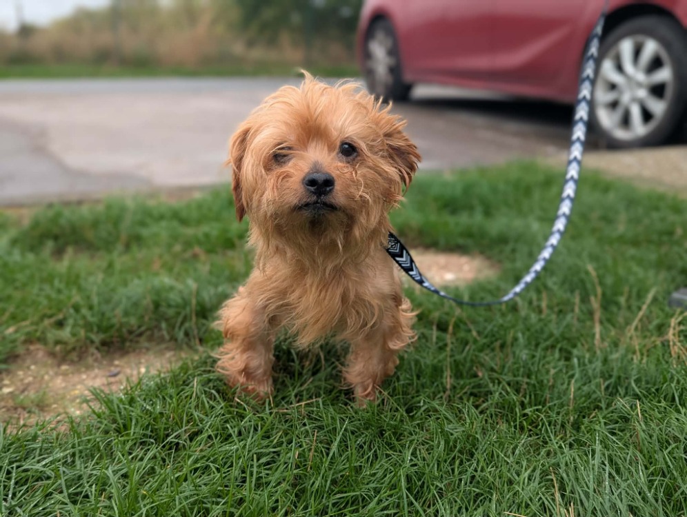 Leo