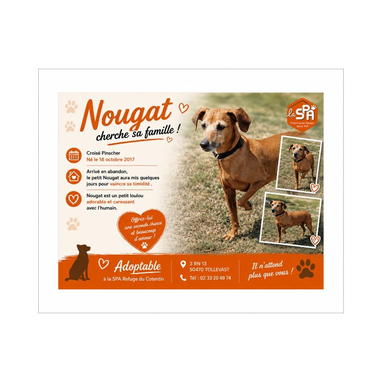 NOUGAT