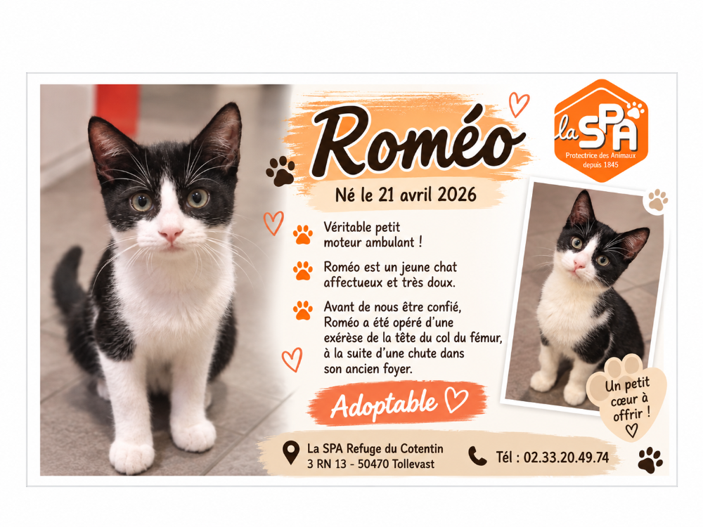 ROMEO
