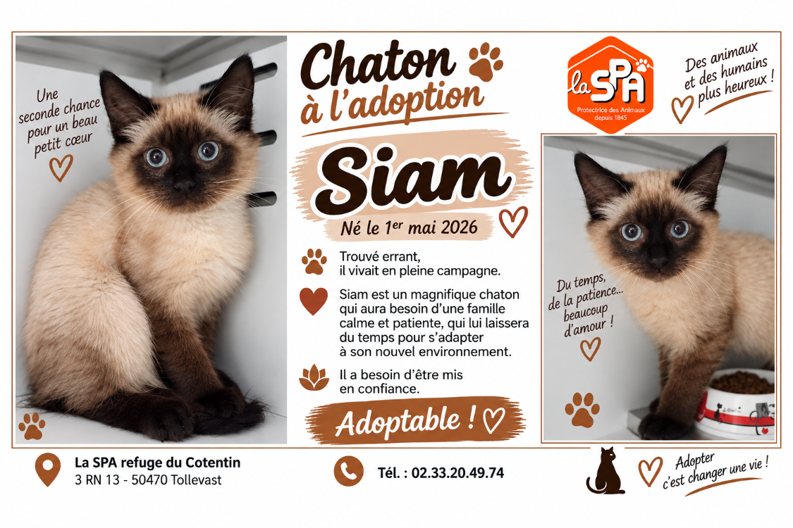 SIAM