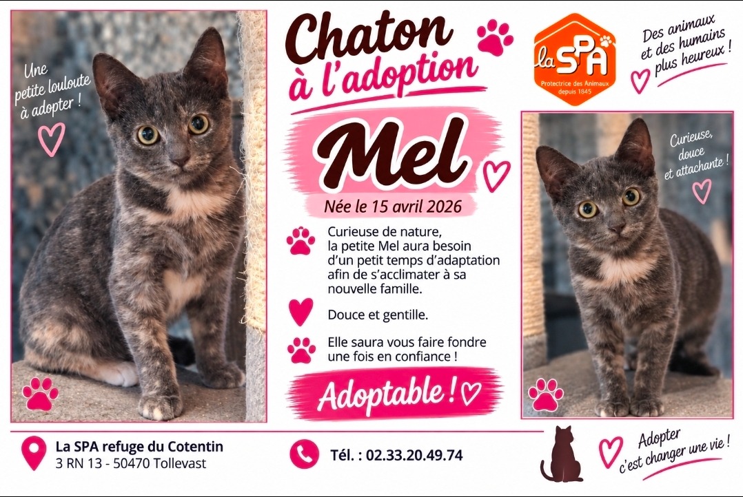 MEL (Réservée)