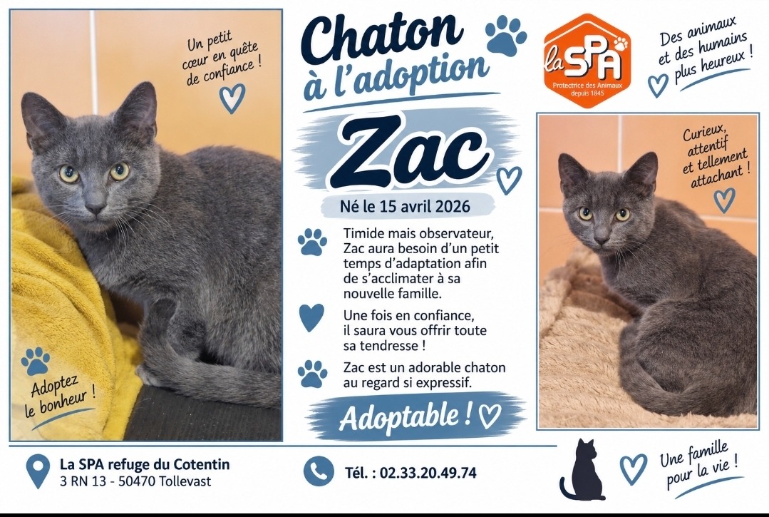 ZAC (Réservé)