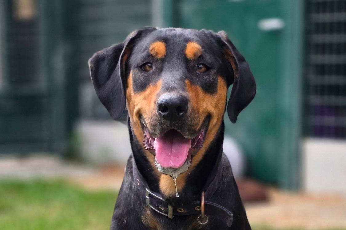 NALA