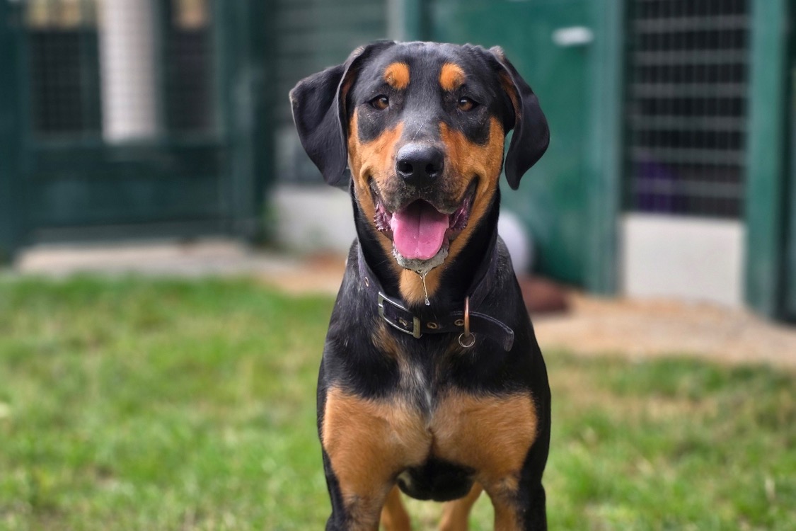 NALA