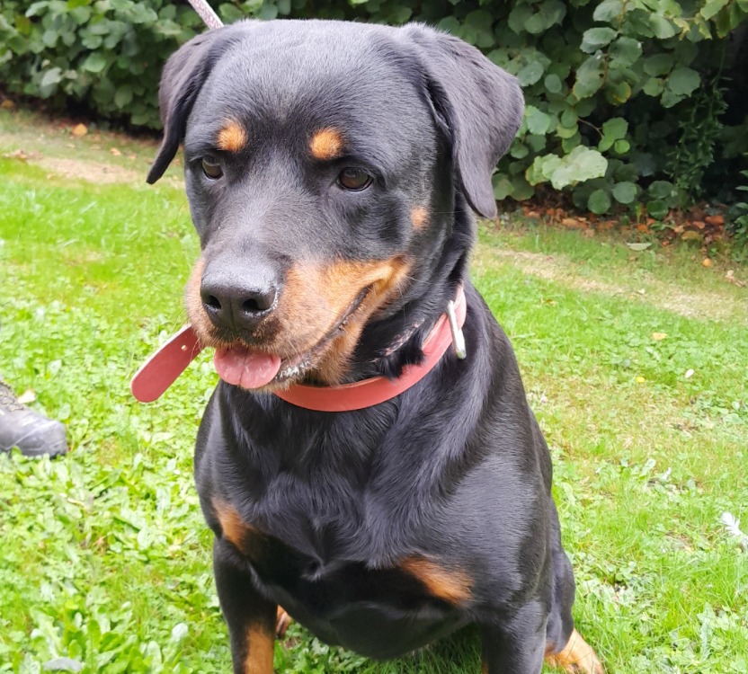 RITA