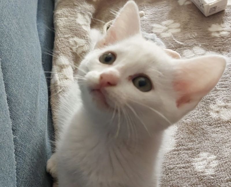 Barry