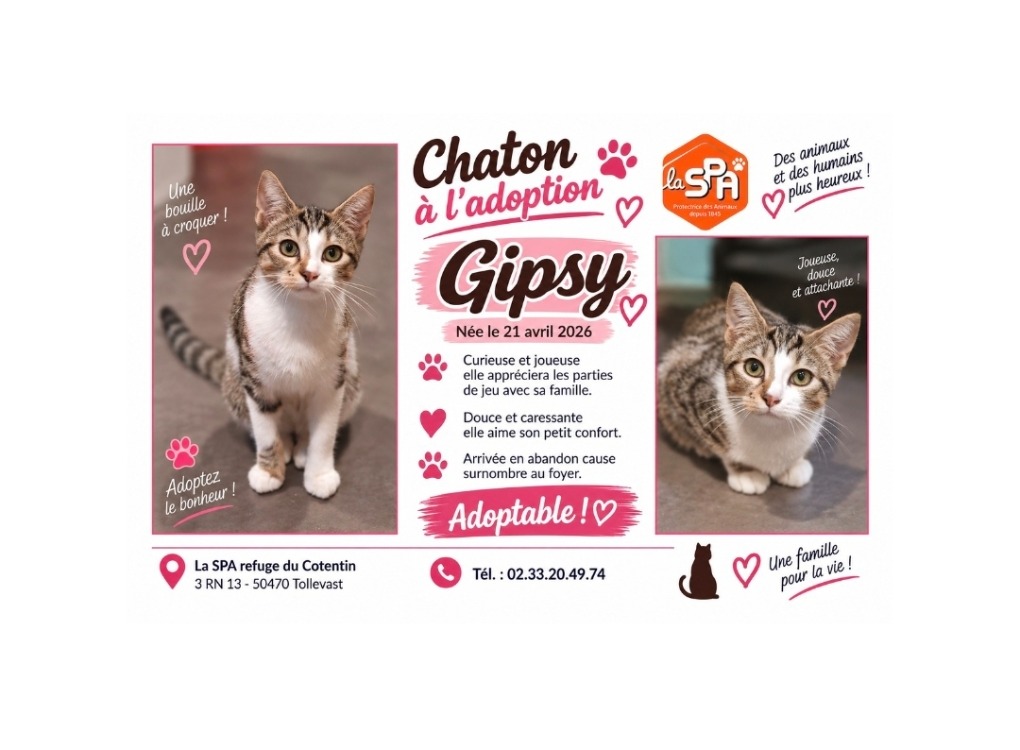 Gipsy (Réservée)