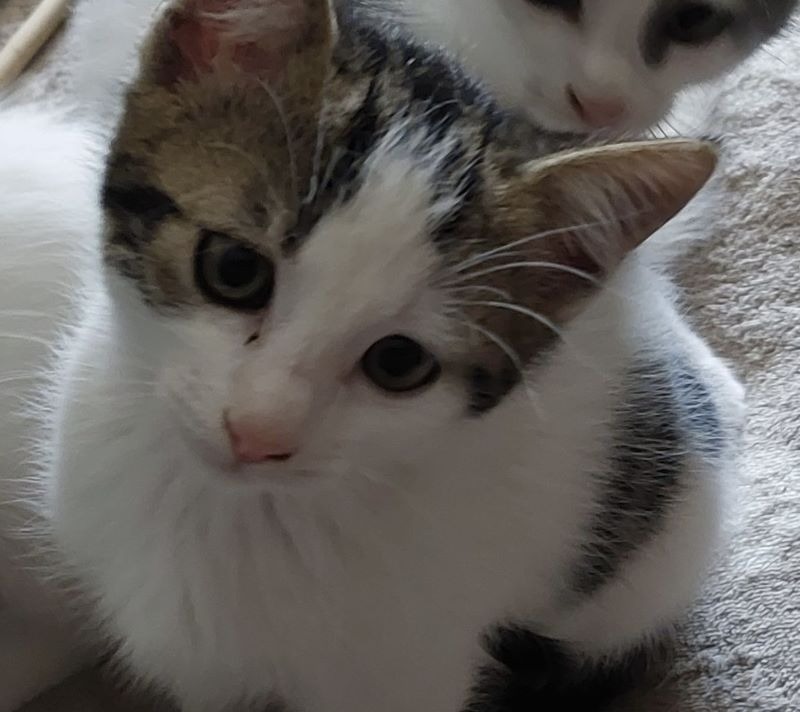 Boston
