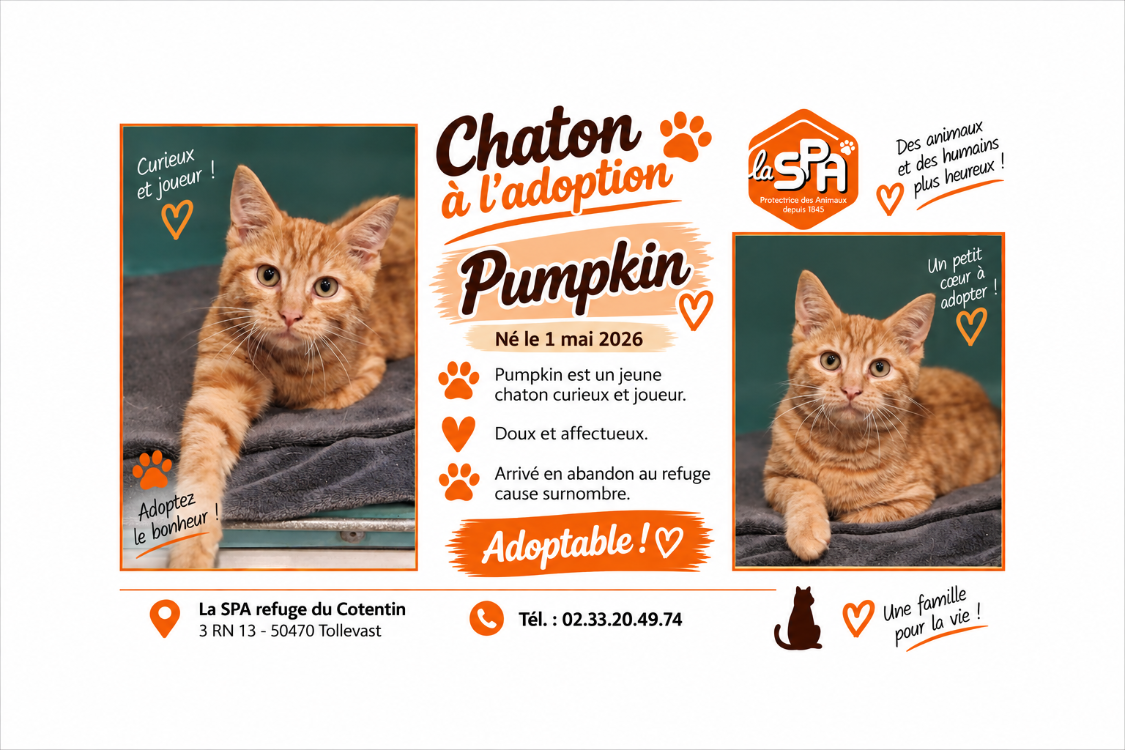 PUMPKIN ( Réservé)